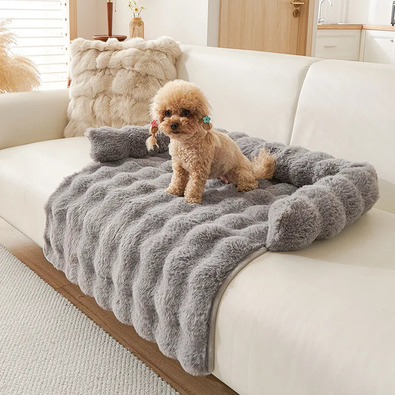 CAMA PERRO GRANDE SOFÁ