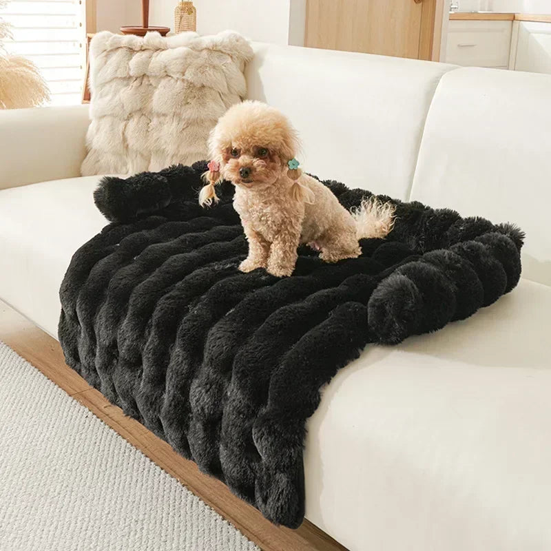 CAMA PERRO GRANDE SOFÁ