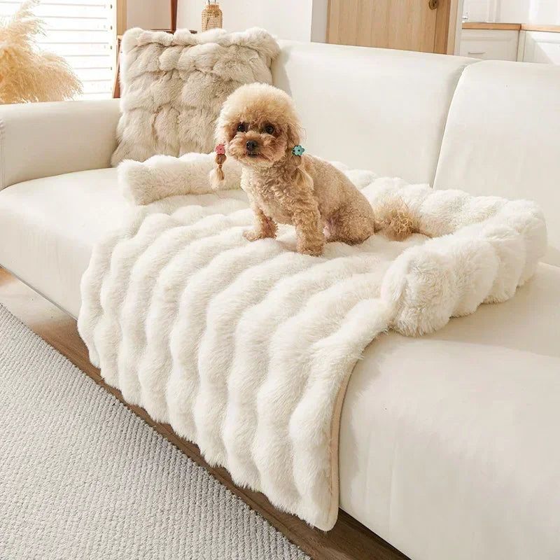 CAMA PERRO GRANDE SOFÁ