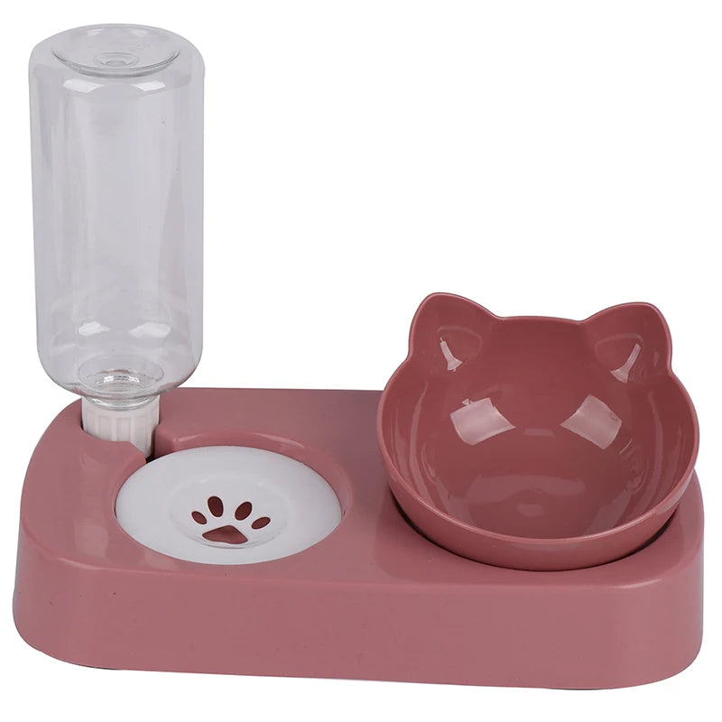 Tilted bowl for dogs and cats