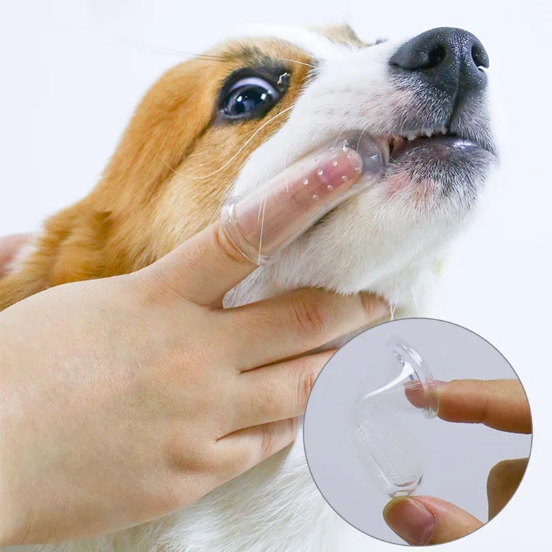 CEPILLO DE DIENTES PARA PERROS Y GATOS