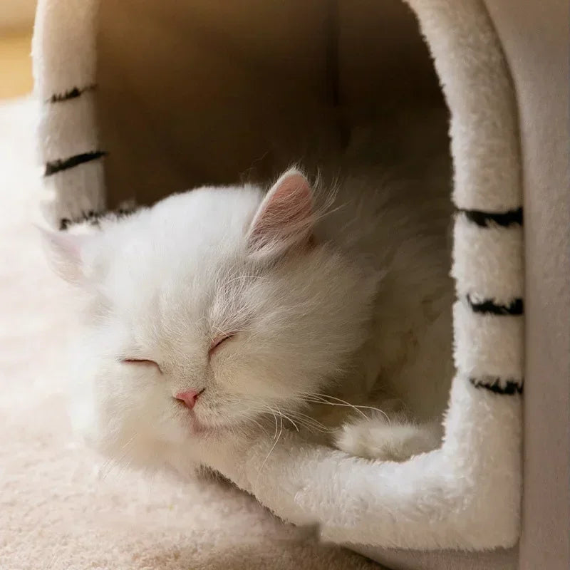 CASA PARA PERROS Y GATOS