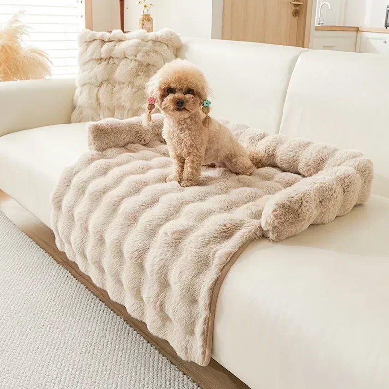 CAMA PERRO GRANDE SOFÁ