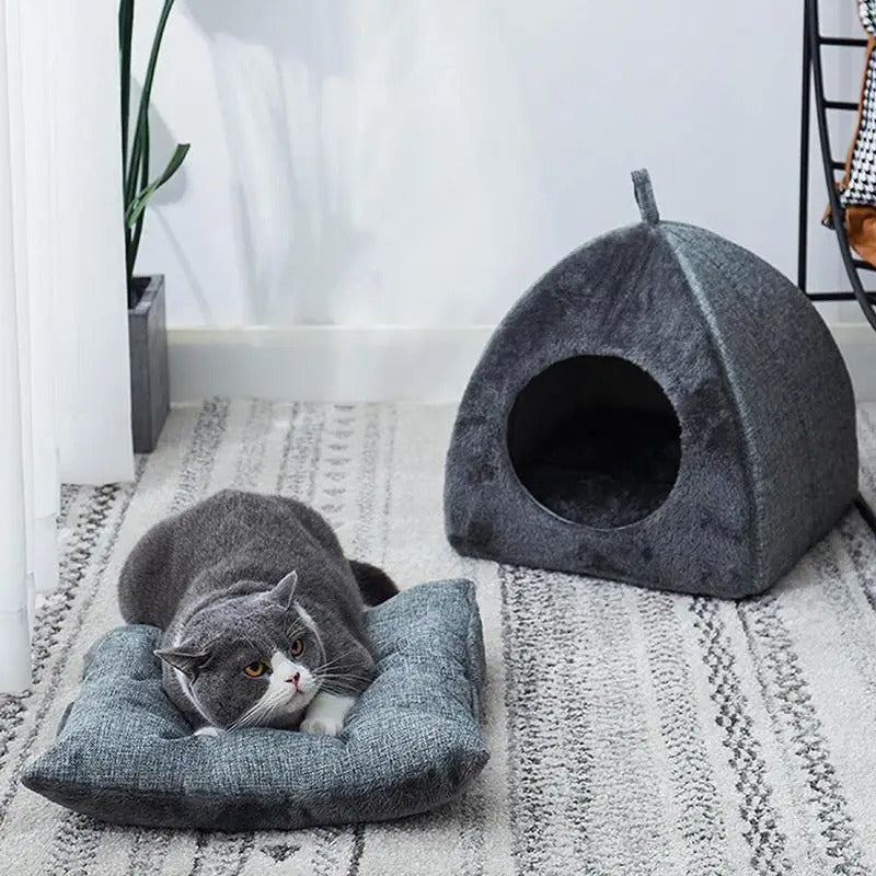 CASA PARA PERROS Y GATOS CUEVA