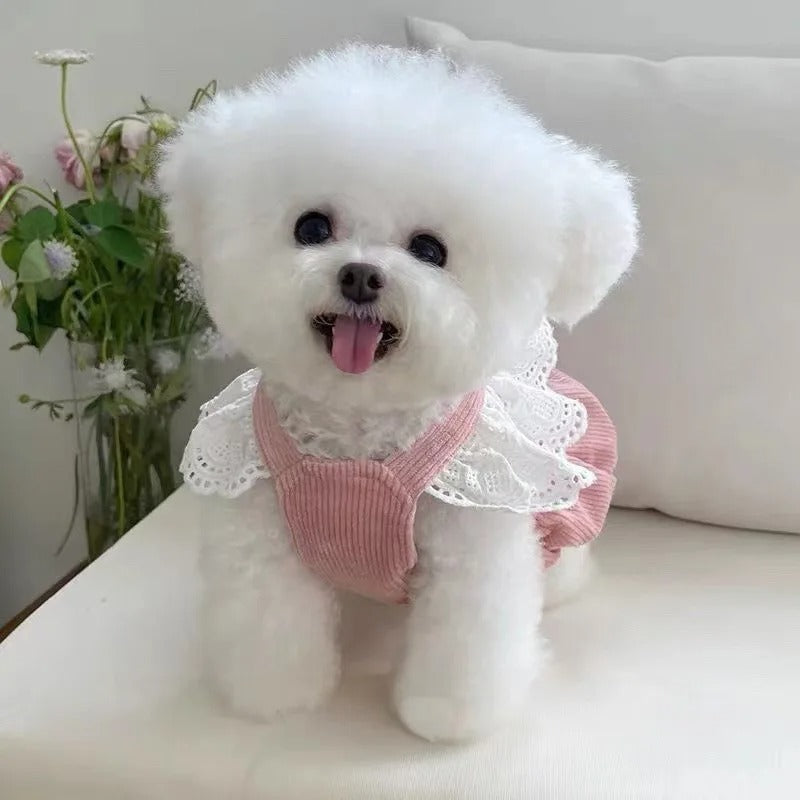 ROPA DE MASCOTAS