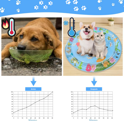 CAMA DE AGUA REFRESCANTE PARA MASCOTAS