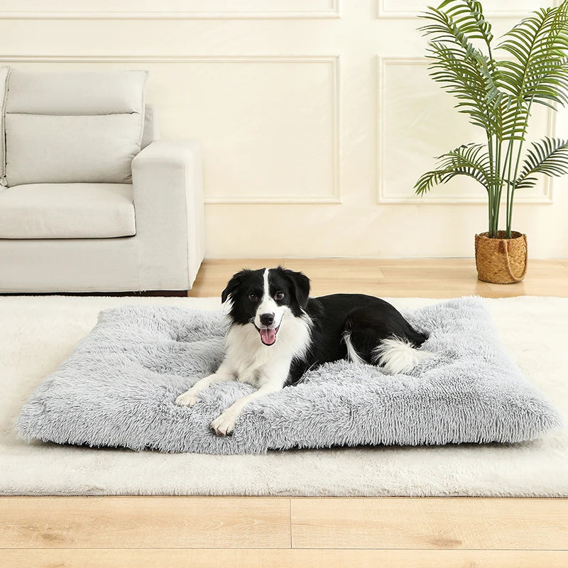 PLUSH BED DOG
