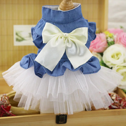 SUMMER DOG DRESS