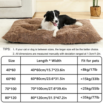 PLUSH BED DOG