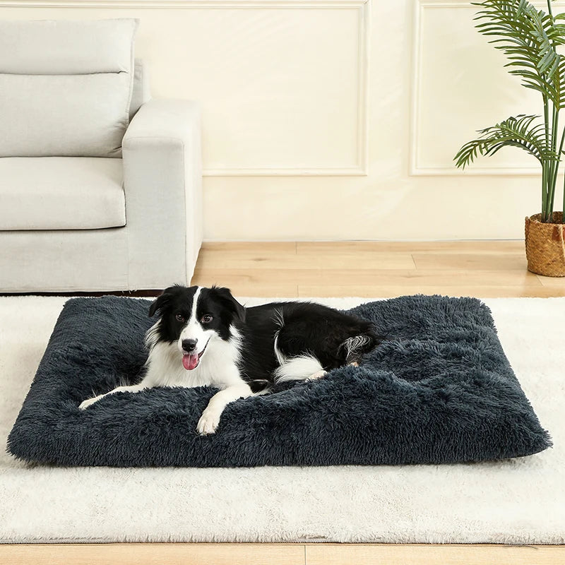 PLUSH BED DOG