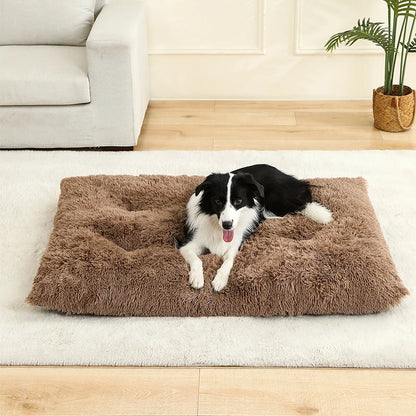 PLUSH BED DOG