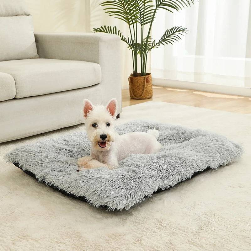 PLUSH BED DOG