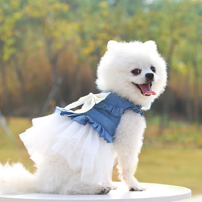 SUMMER DOG DRESS