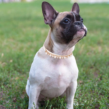LUXURY RHINESTONE PUPPY COLLAR