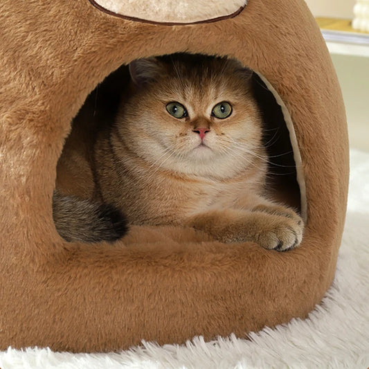 CASA PARA PERROS Y GATOS CUEVA