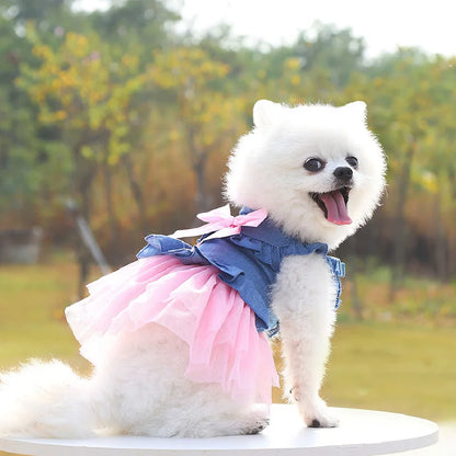 SUMMER DOG DRESS