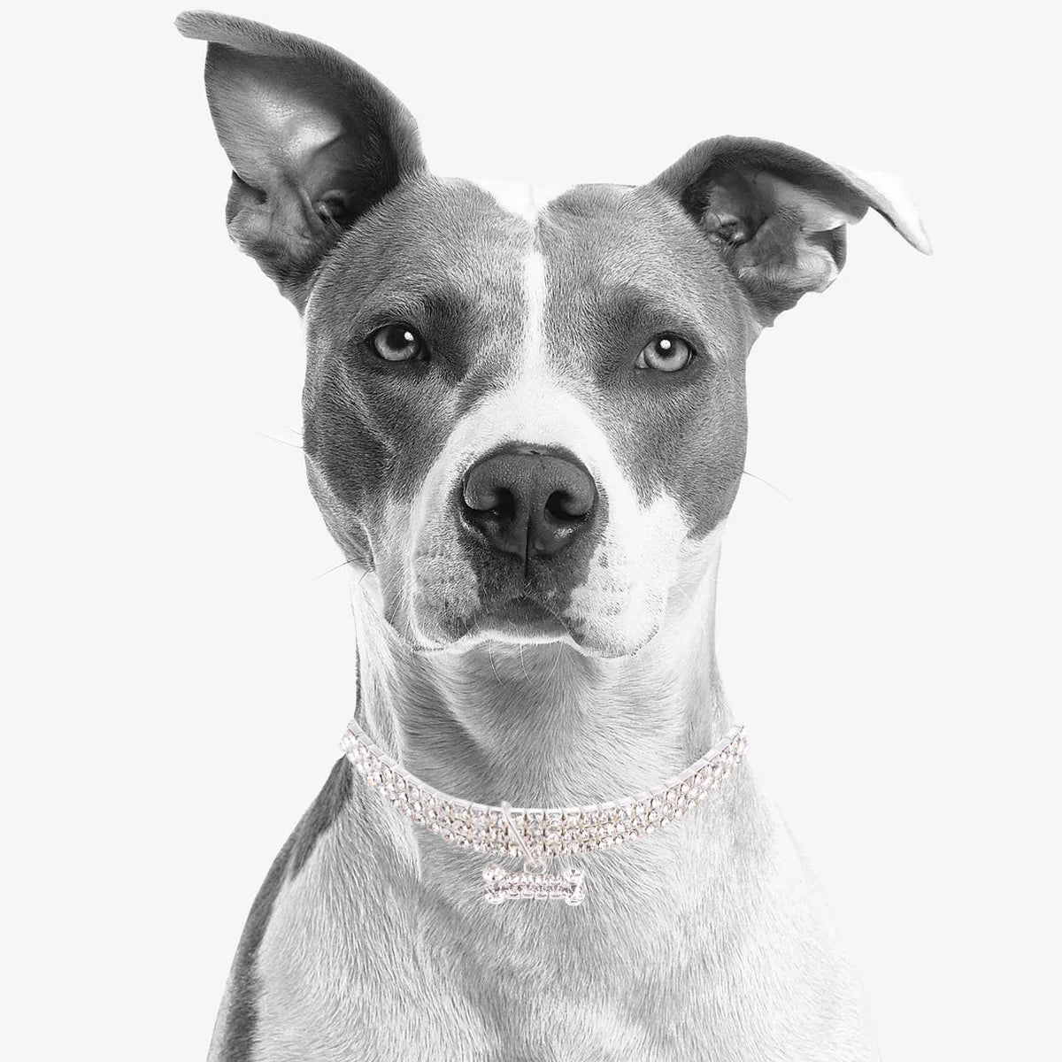 RHINESTONE PET COLAR CHAIN