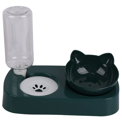 Tilted bowl for dogs and cats