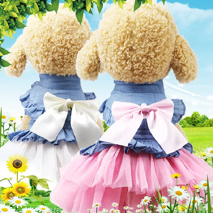 SUMMER DOG DRESS