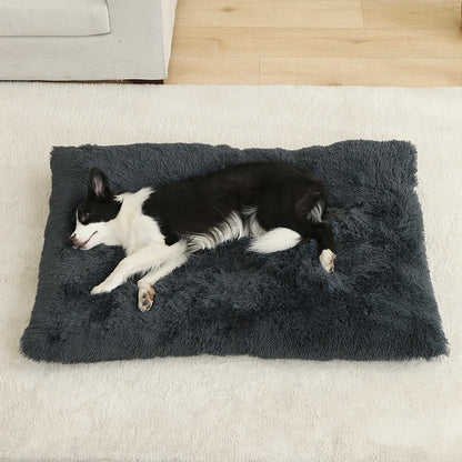 PLUSH BED DOG