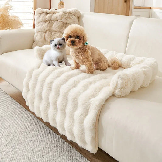 CAMA PERRO GRANDE SOFÁ