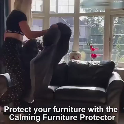 CAMA PERRO GRANDE SOFÁ