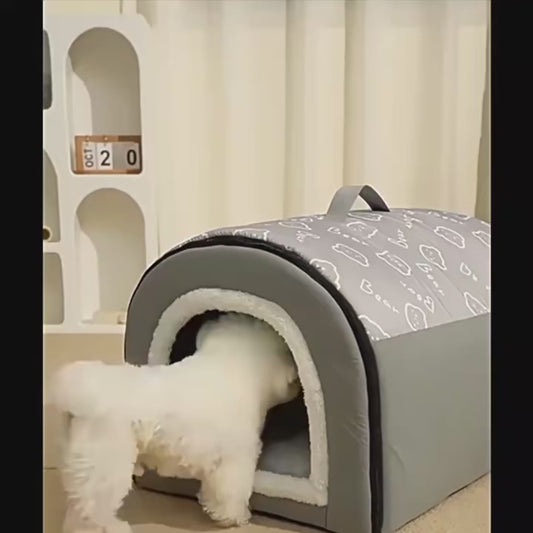 CASA PERROS Y GATOS CON BOLA PARA JUGAR